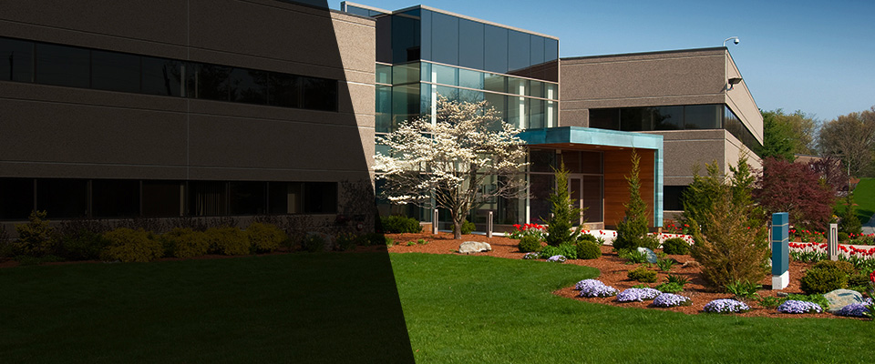 Arcanum Landscapers