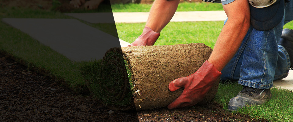Arcanum Landscapers